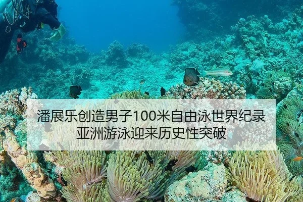 pan-zhan-le-chuang-zao-nan-zi-mi-zi-you-yong-shi-jie-ji-lu-ya-zhou-you-yong-ying-lai-li-shi-xing-tu-po-3-865.jpg